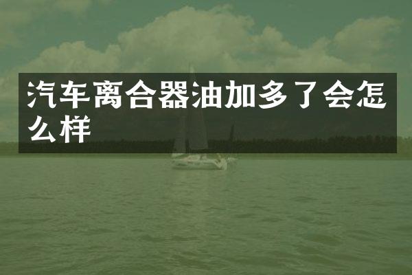 汽车离合器油加多了会怎么样