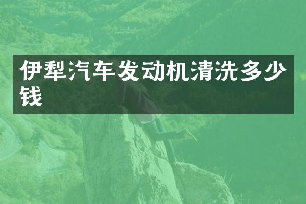 伊犁汽车发动机清洗多少钱
