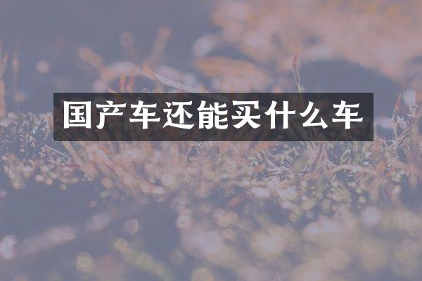 国产车还能车
