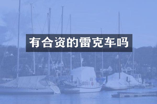 有合资的雷克车吗