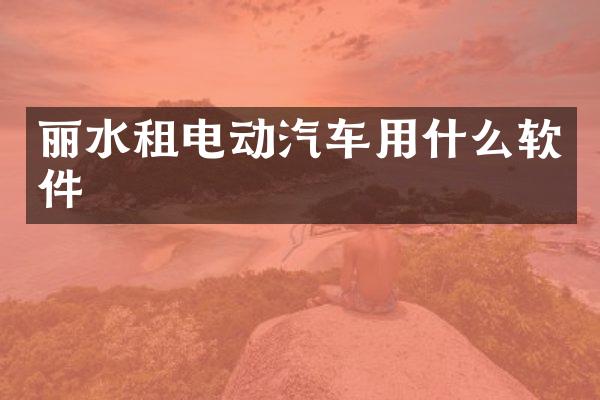 丽水租电动汽车用什么软件
