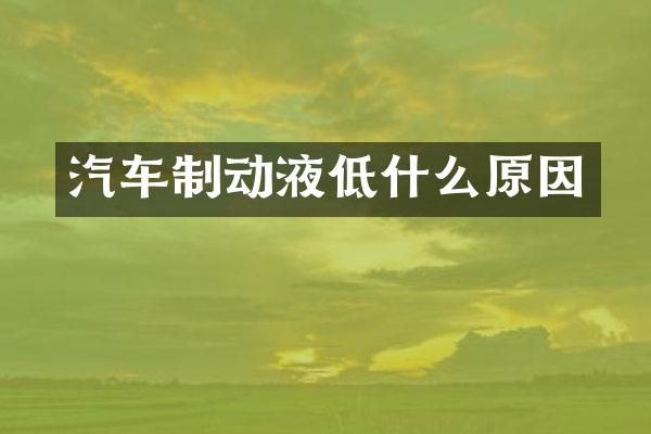 汽车制动液低什么原因