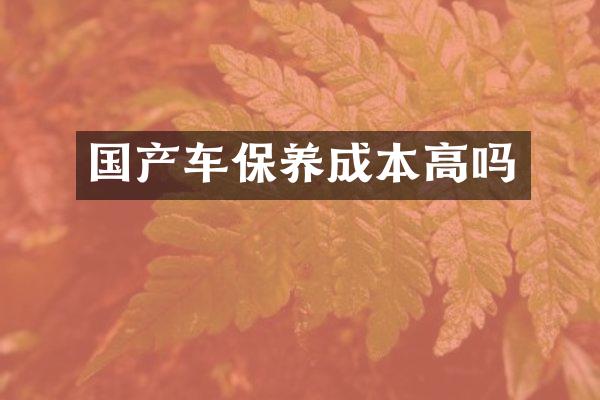 国产车保养成本高吗