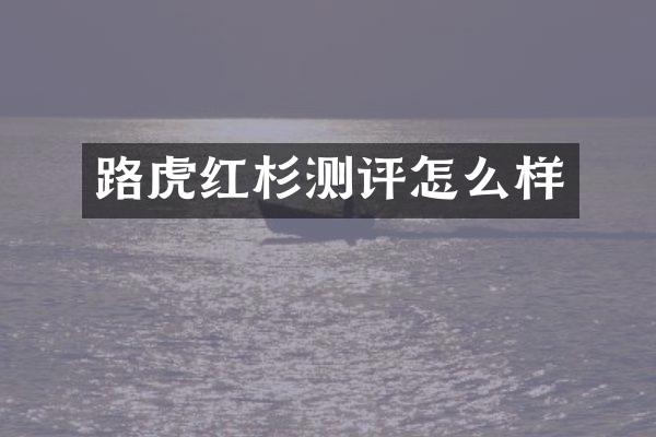 路虎红杉测评怎么样