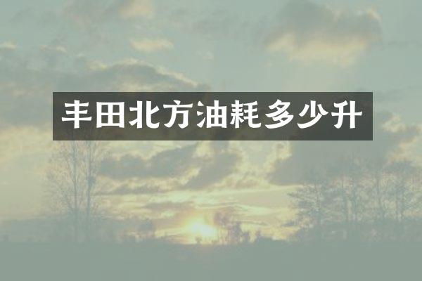 丰田北方油耗多少升