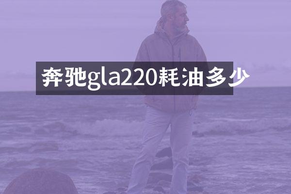 奔驰gla220耗油多少