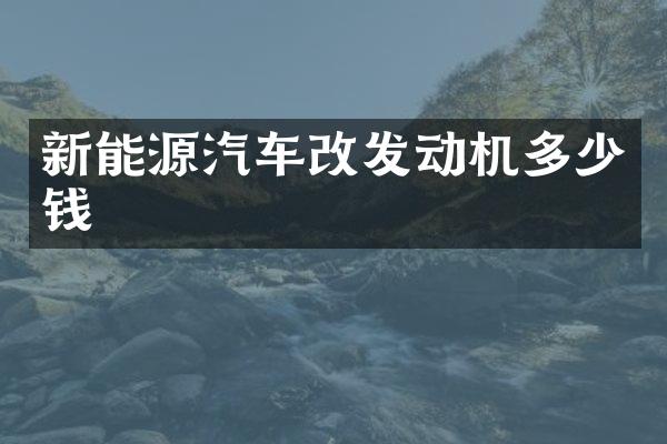 新能源汽车改发动机多少钱