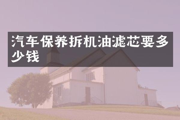汽车保养拆机油滤芯要多少钱
