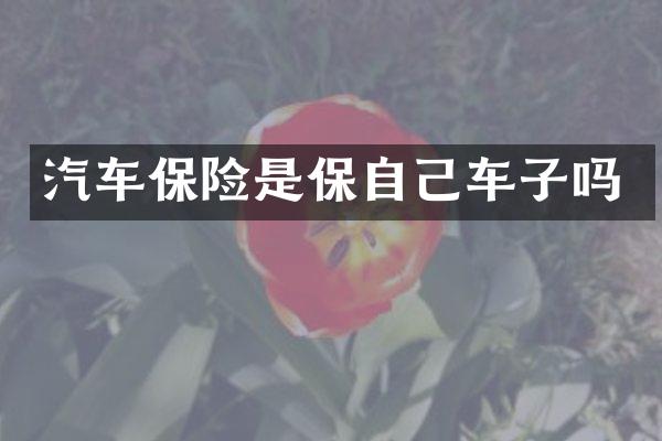 汽车保险是保自己车子吗