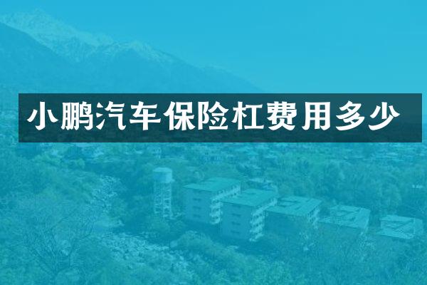 小鹏汽车保险杠费用多少