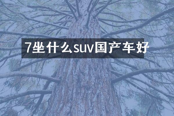 7坐什么suv国产车好