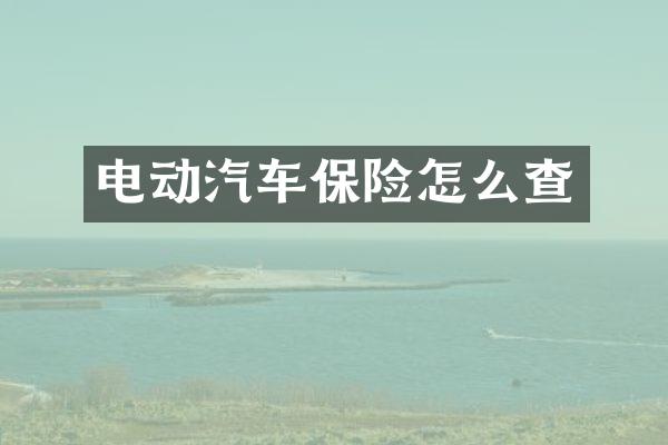 电动汽车保险怎么查