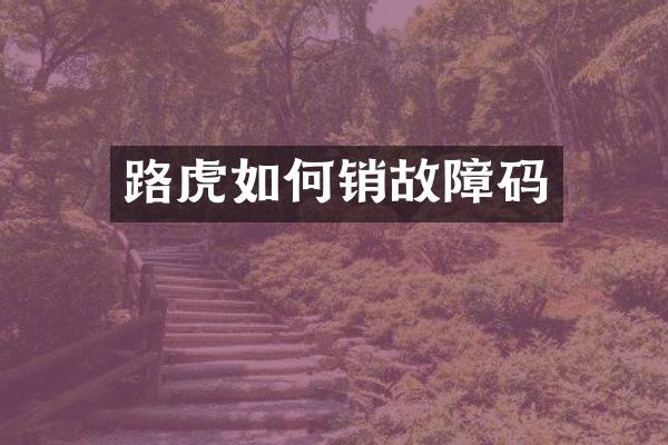 路虎如何销故障码