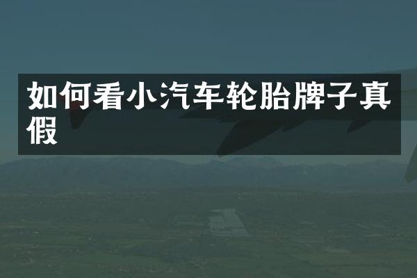 如何看小汽车轮胎牌子真假