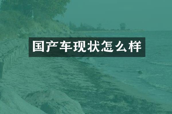 国产车现状怎么样