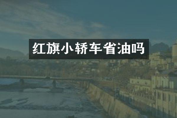 红旗小轿车省油吗