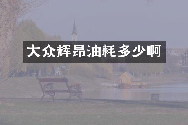 大众辉昂油耗多少啊