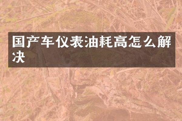 国产车仪表油耗高怎么解决