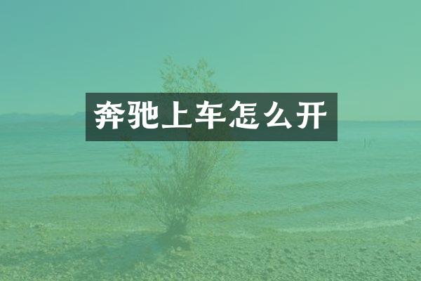 奔驰上车怎么开