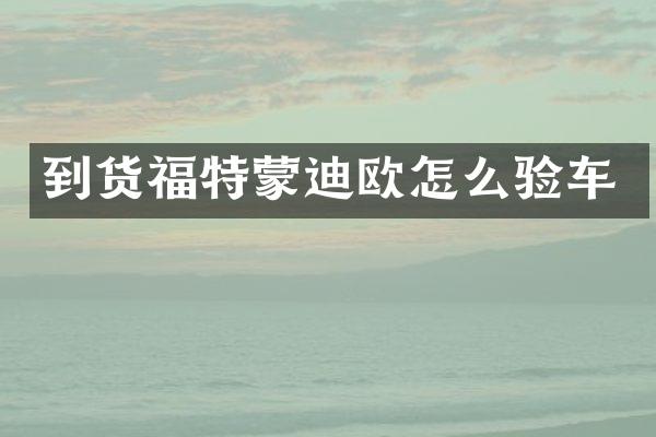 到货福特蒙迪欧怎么验车