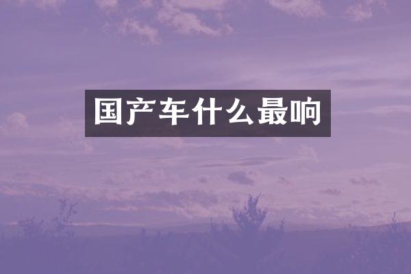 国产车什么最响