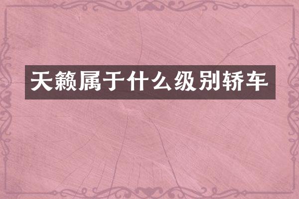 天籁属于什么级别轿车