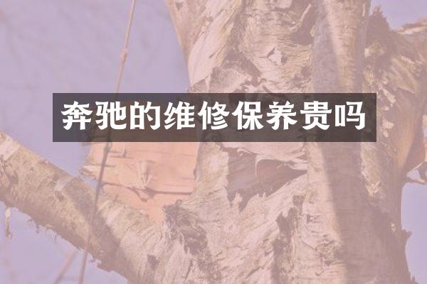 奔驰的维修保养贵吗