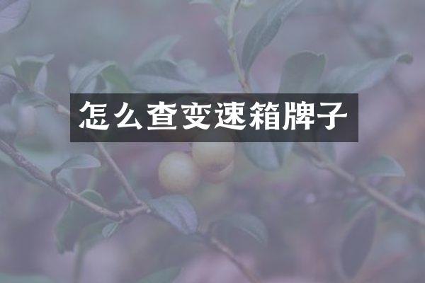 怎么查变速箱牌子