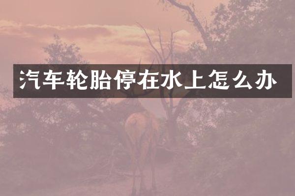 汽车轮胎停在水上怎么办