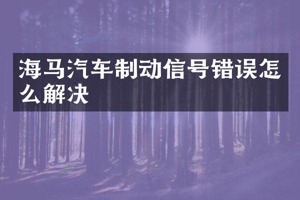 海马汽车制动信号错误怎么解决