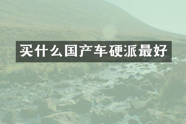 买什么国产车硬派最好
