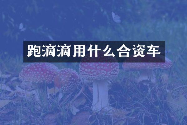 跑滴滴用什么合资车