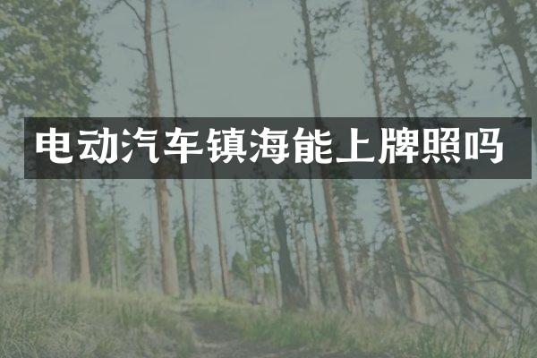 电动汽车镇海能上牌照吗