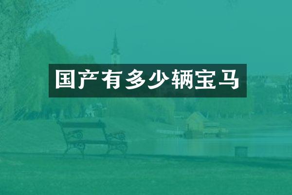 国产有多少辆宝马