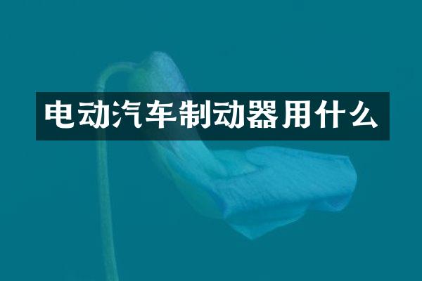 电动汽车制动器用什么