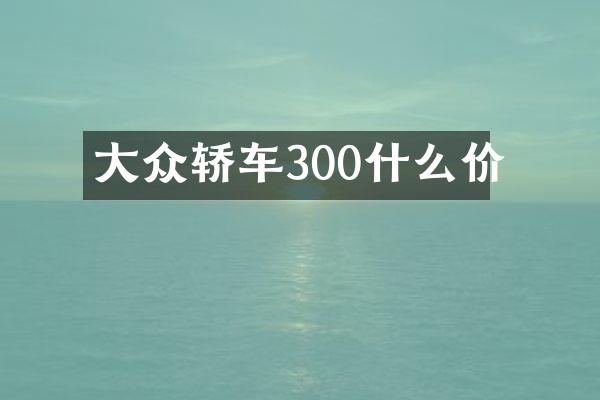 大众轿车300什么价