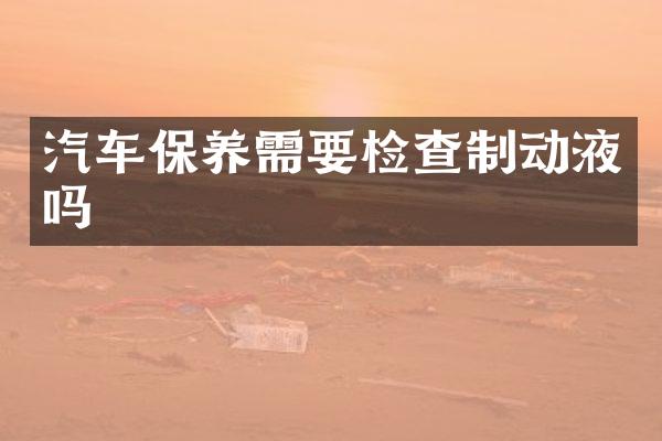 汽车保养需要检查制动液吗