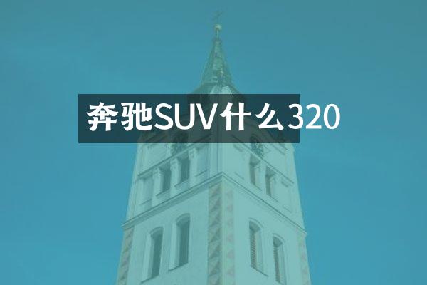 奔驰SUV什么320