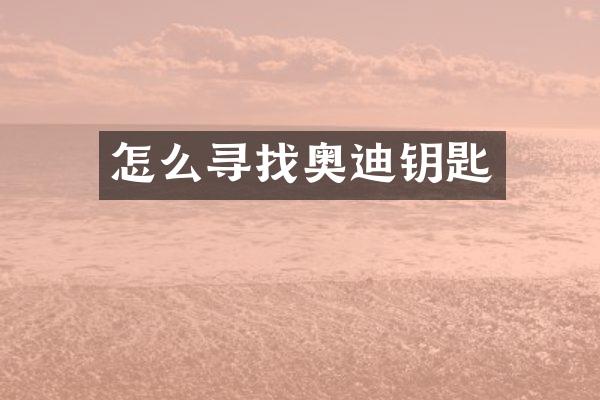 怎么寻找奥迪钥匙