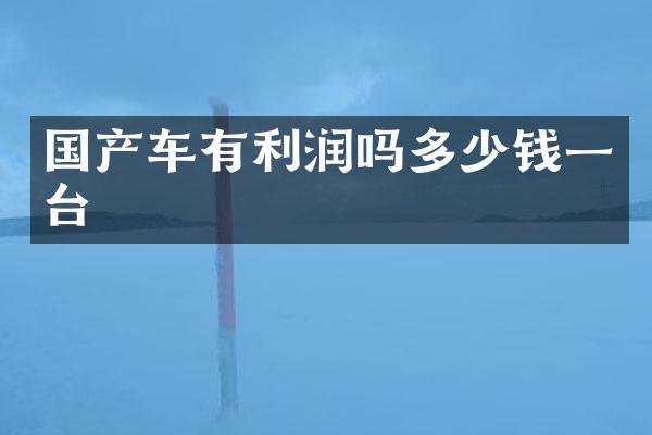 国产车有利润吗多少钱一台
