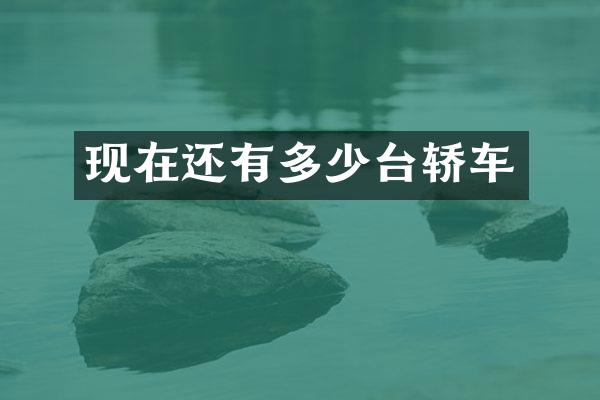 现在还有多少台轿车