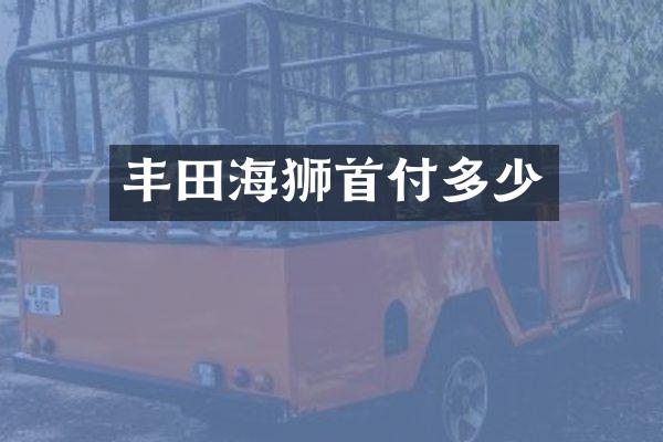 丰田海狮首付多少