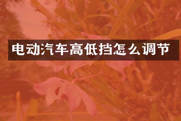 电动汽车高低挡怎么调节