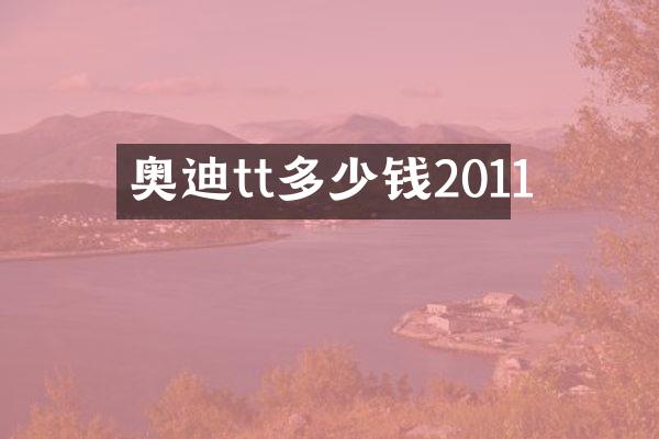 奥迪tt多少钱2011