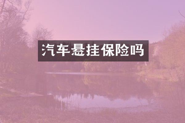 汽车悬挂保险吗