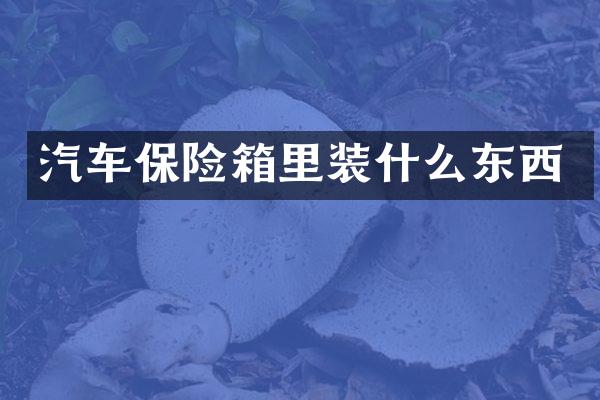 汽车保险箱里装什么东西