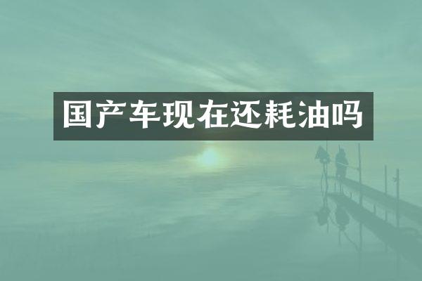 国产车现在还耗油吗