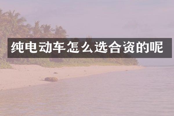 纯电动车怎么选合资的呢