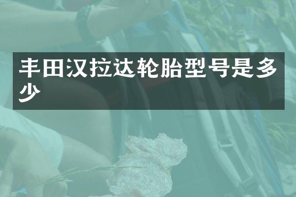 丰田汉拉达轮胎型号是多少