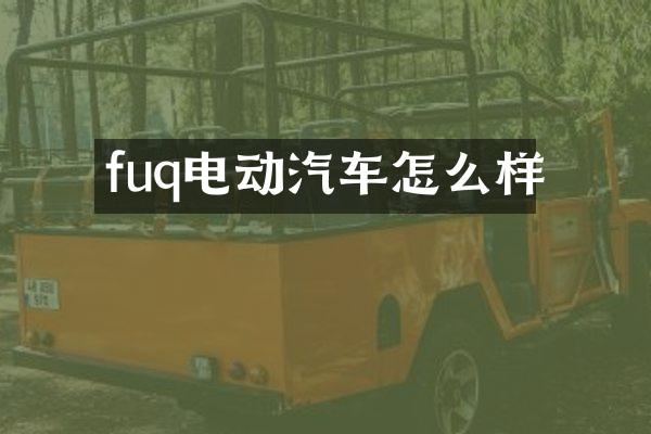 fuq电动汽车怎么样
